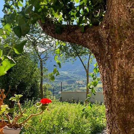 B&B Al San Francesco Castel Di Sangro Eksteriør bilde