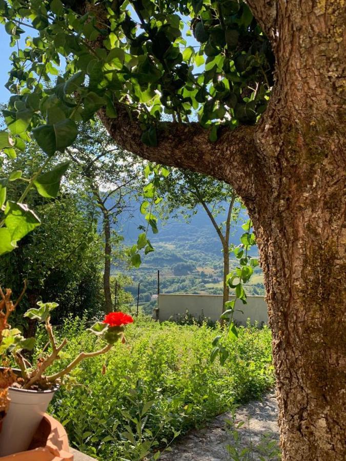 B&B Al San Francesco Castel Di Sangro Eksteriør bilde